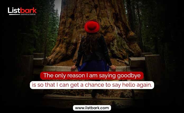 Goodbye Quotes for Friends