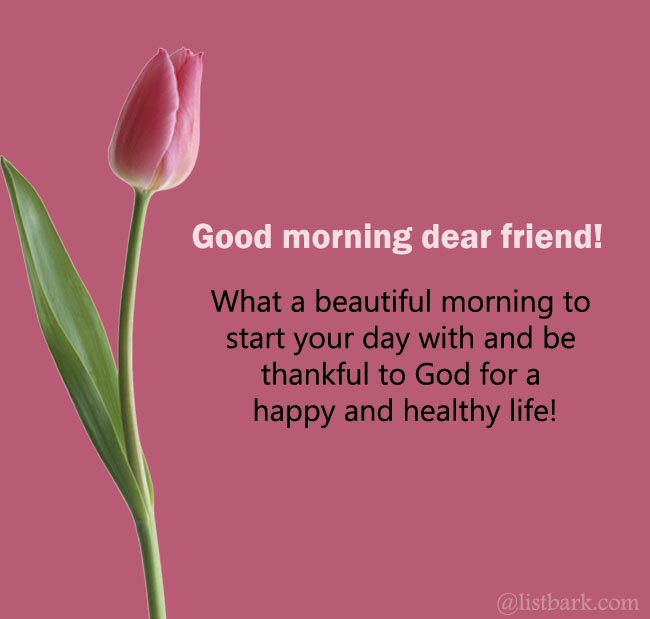 Good Morning Dear
