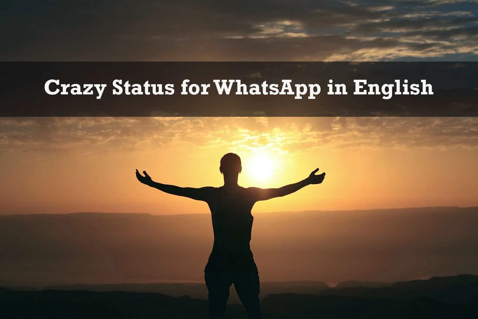 110 Crazy Status for WhatsApp in English Crazy Status for WhatsApp in English