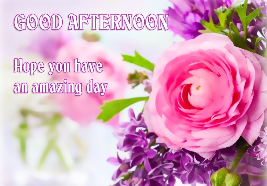 Good Afternoon Images Wishes