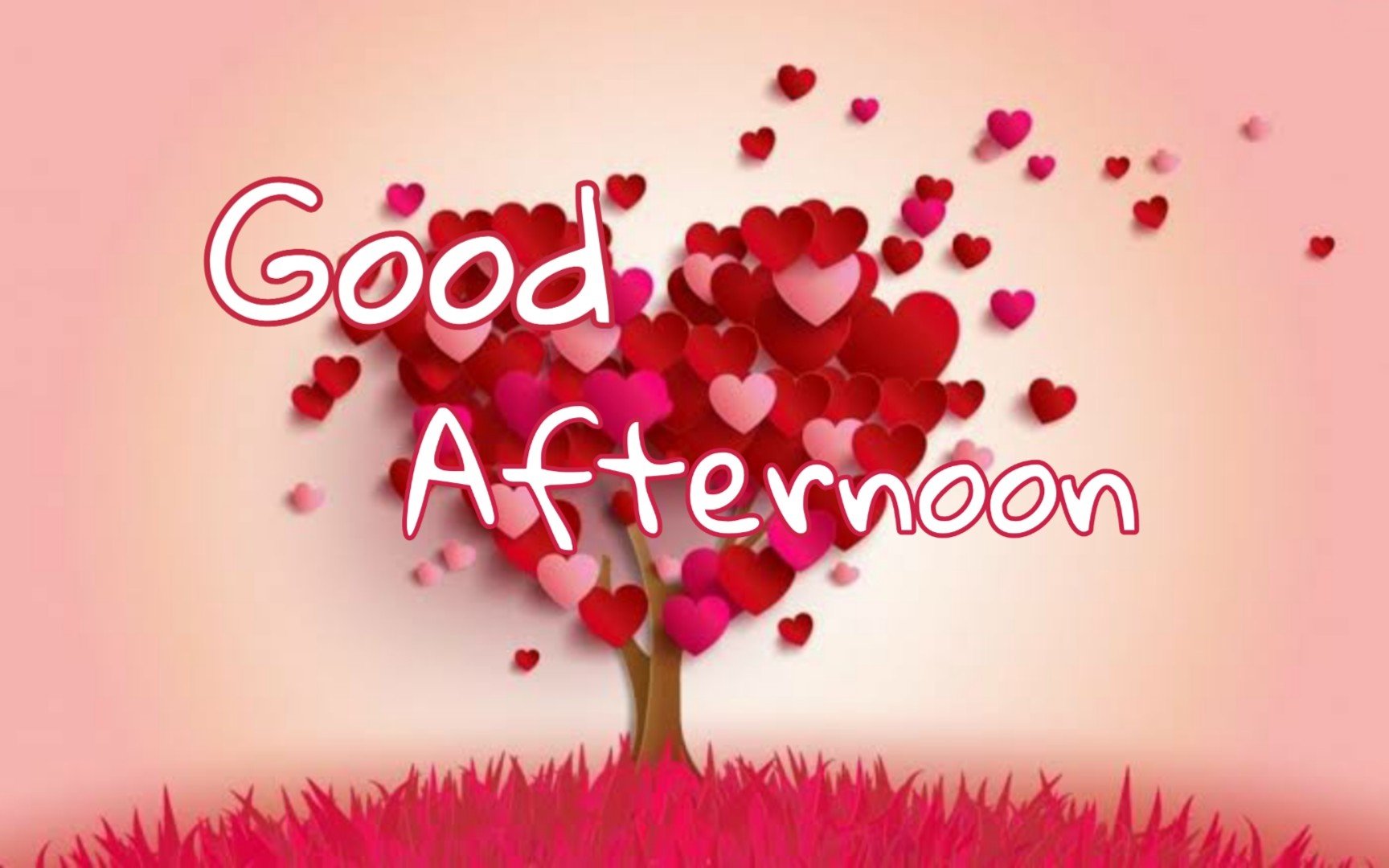 65 Good Afternoon SMS, Messages with Images - List Bark