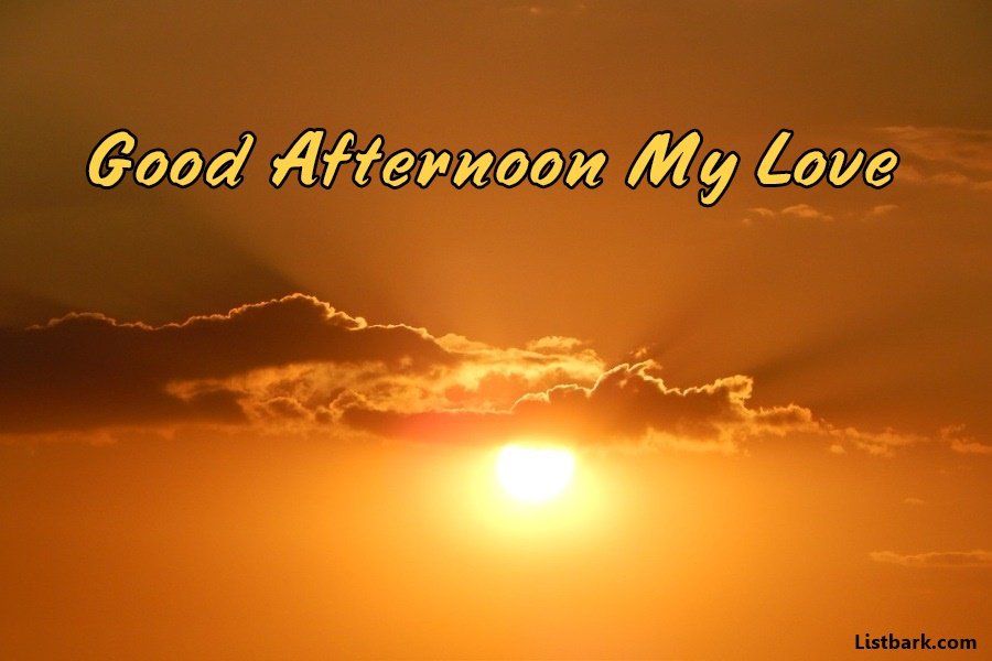 50+ Good Afternoon SMS Wishes, Messages with Images - List Bark