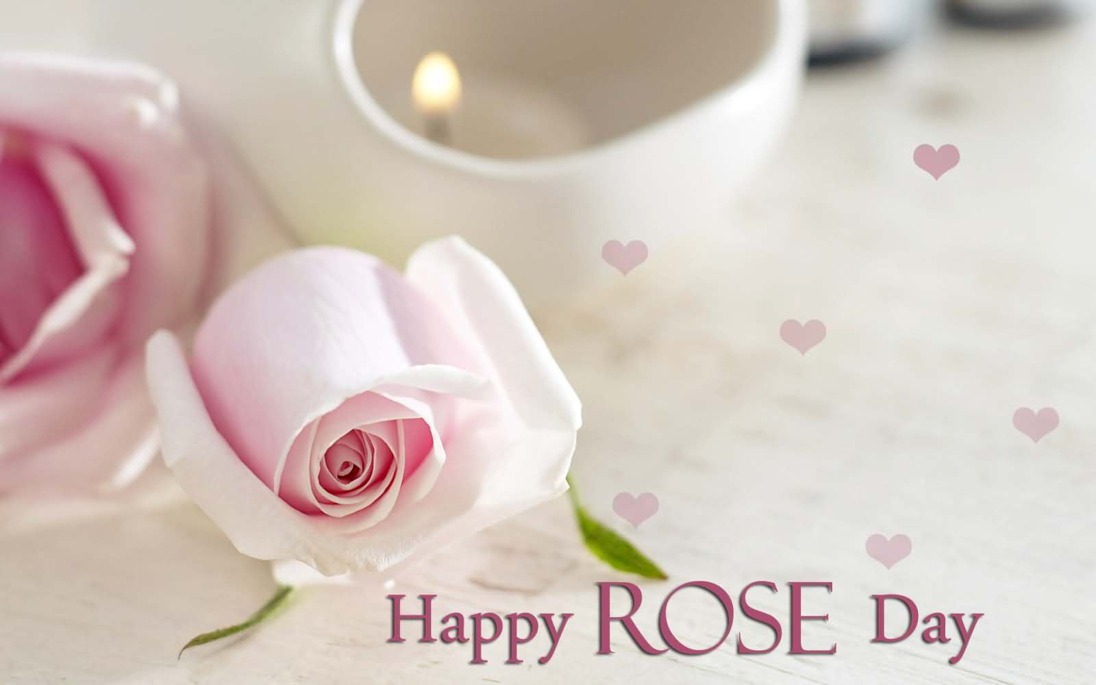 Happy Rose Day Pics