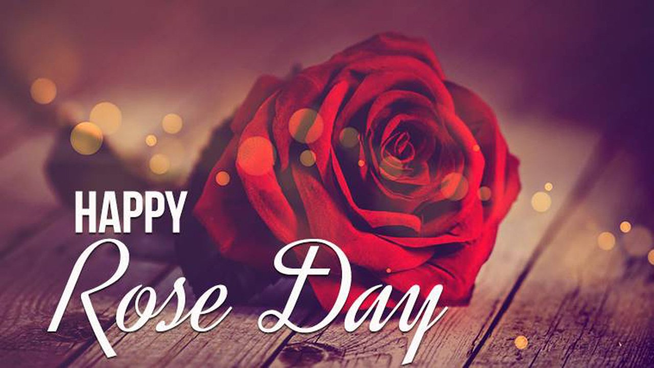 50 Happy Rose Day Images, Wallpapers, Photos 2022 List Bark