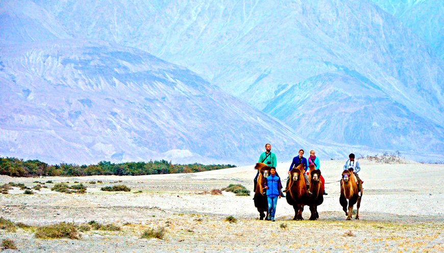 Nubra Valley Ladakh