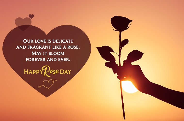 Rose Day Wishes For Him