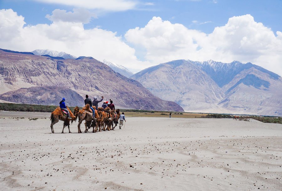Things To Do In Nubra Valley