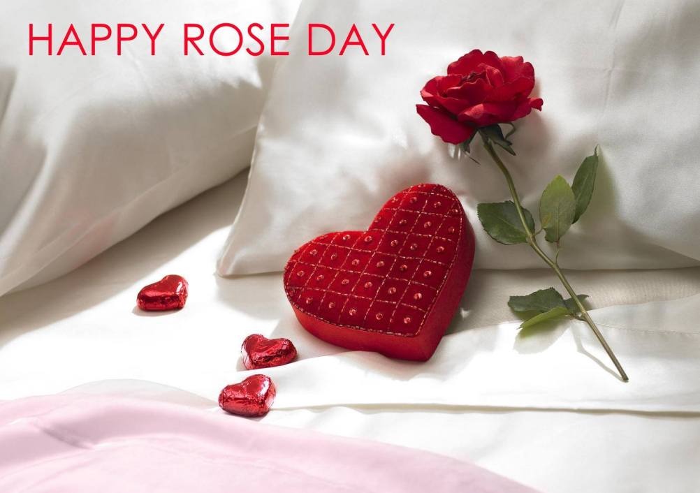 Wishes For Rose Day