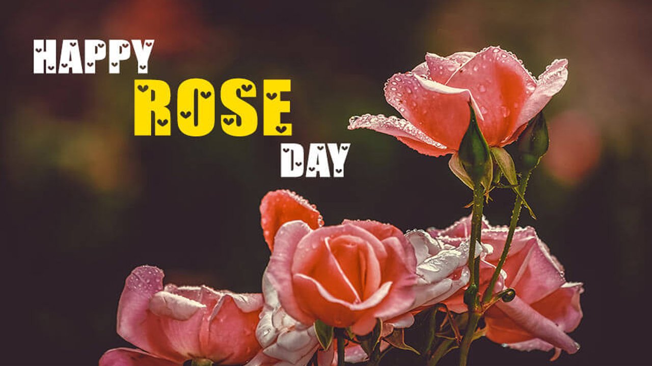 Happy Rose Day Status