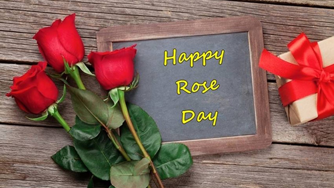 50 Happy Rose Day Wishes 2022 with Images - List Bark
