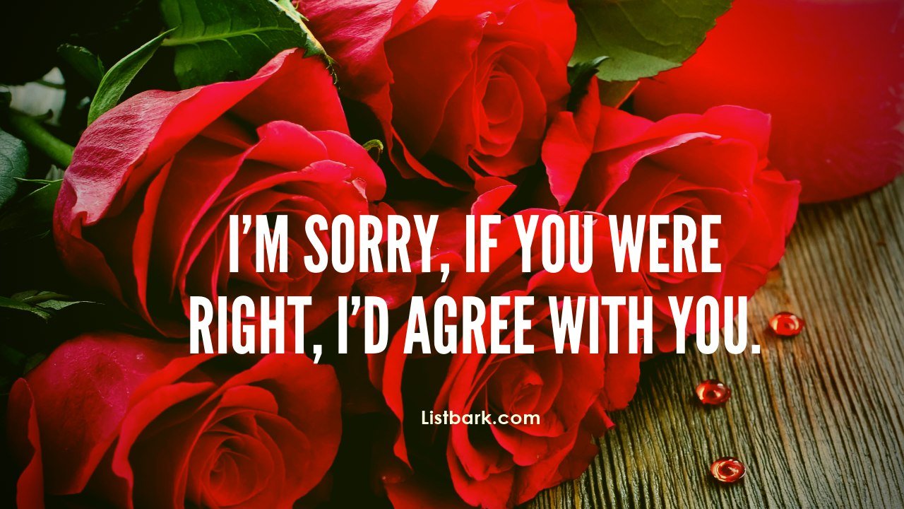Sorry Quotes For Friend