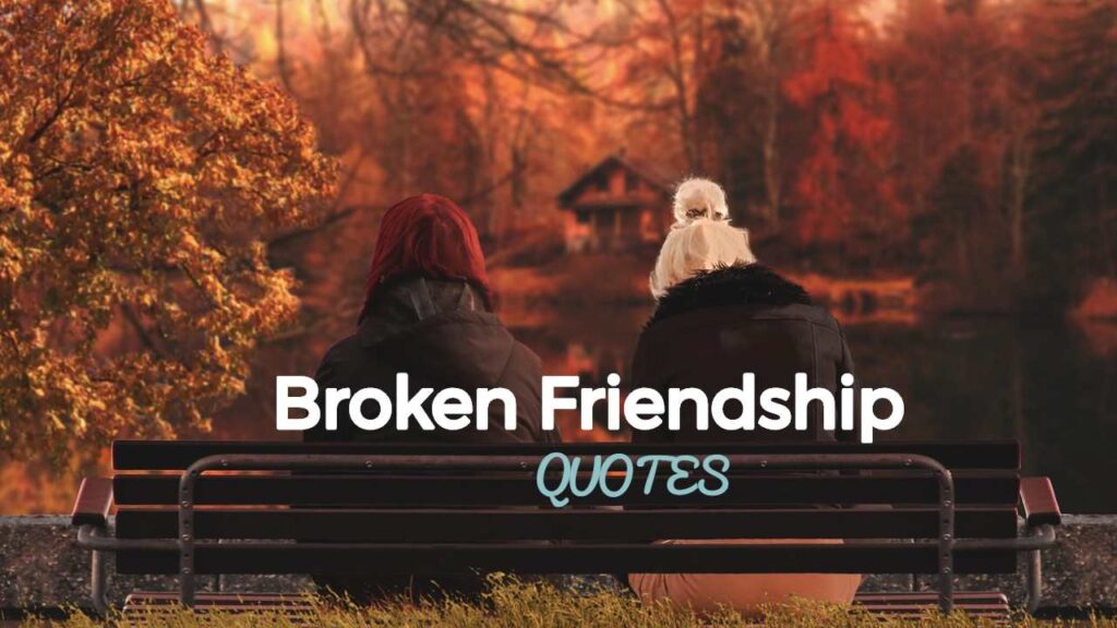 essay on broken friendship