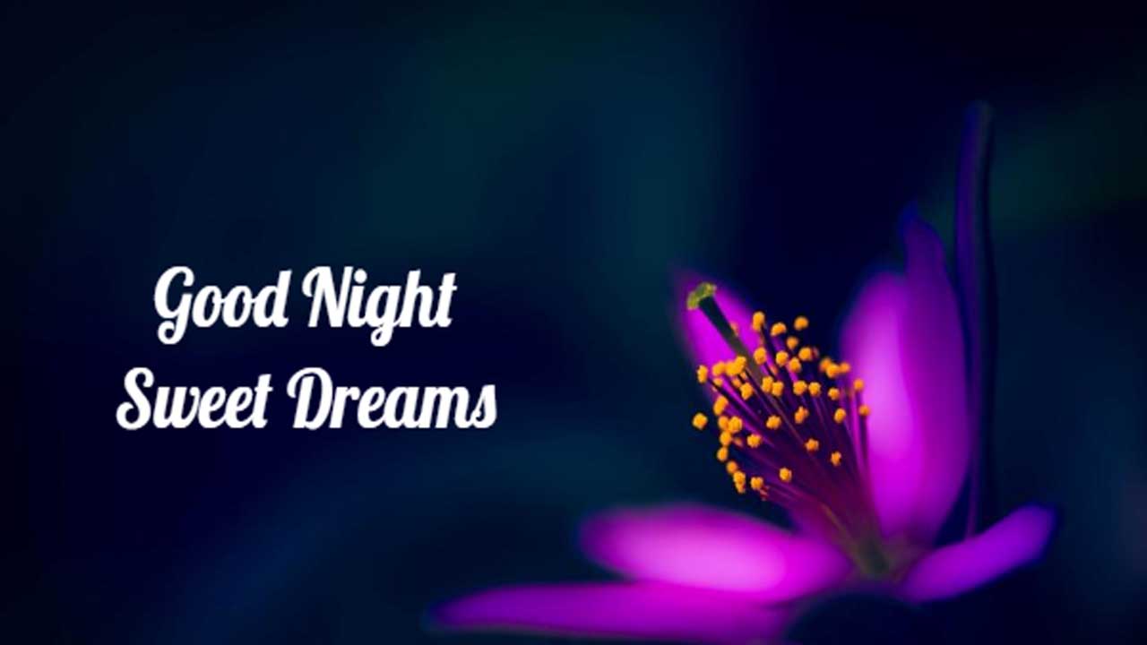 Good Night Wishes for Lover