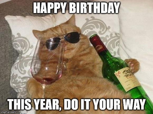 Drunk Cat Birthday Meme