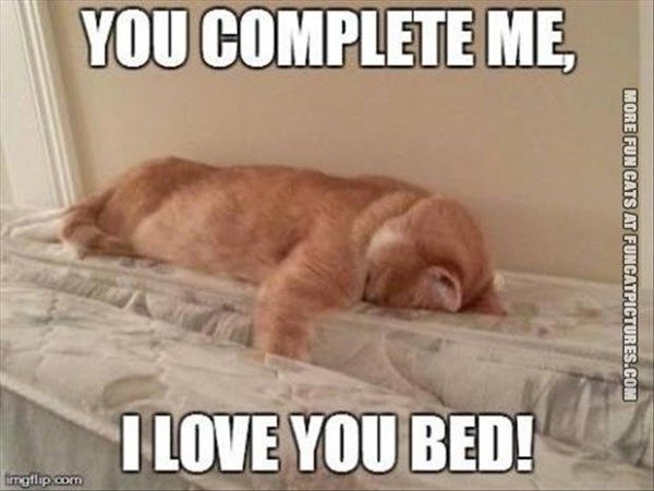 Funny I Love You Bed Meme