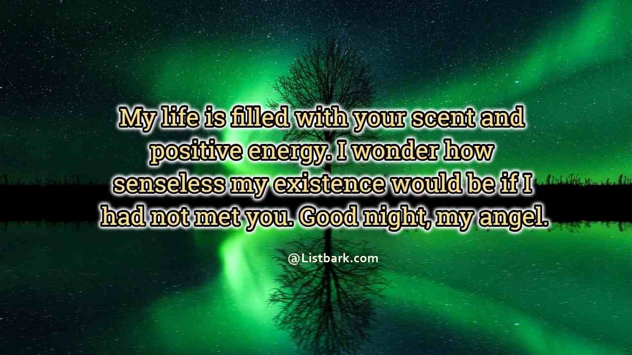 Good Night Quotes For Lovers