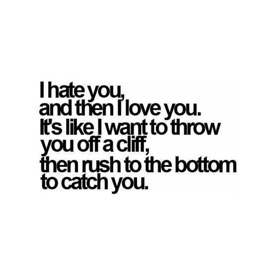 Hate You and Then I Love You