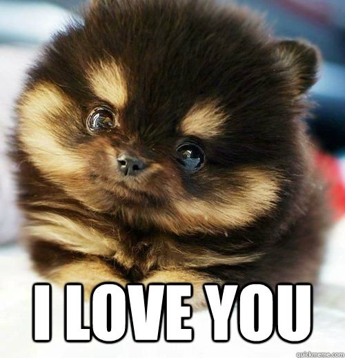 I Love You and Will Always Do