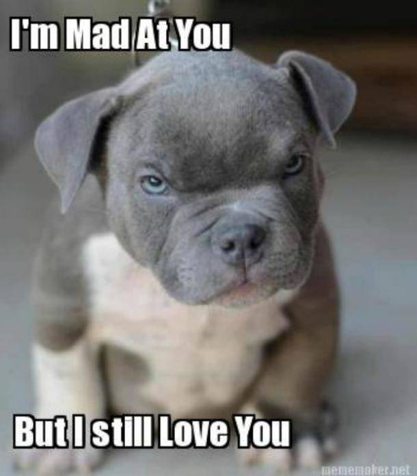 I'am mad at you but i still love you