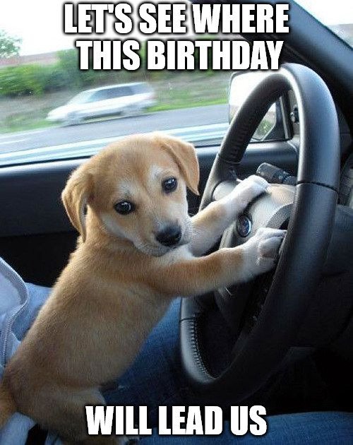 Lets see where this birthday will lead us