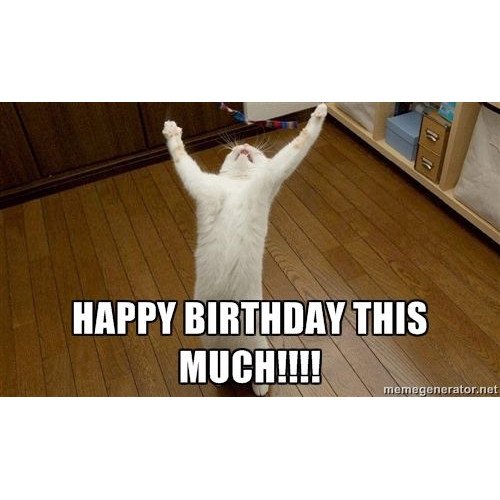 Yellow Octopus Happy Birthday Meme