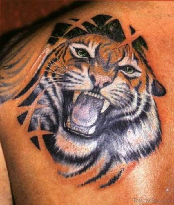 Angry Tiger Tattoo On Back