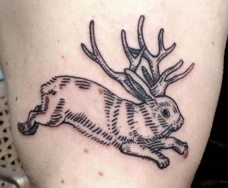 traditional jackalope tattoo  Under the Needle