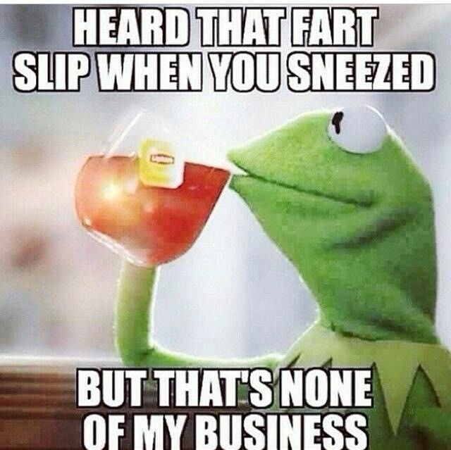 Heard That Fart Slip When You Sneezed But That's None Of My Business Funny Fart Meme Image