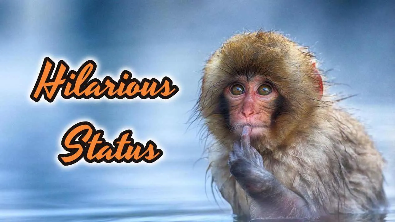60 Hilarious Status For Facebook and Whatsapp Hilarious Status