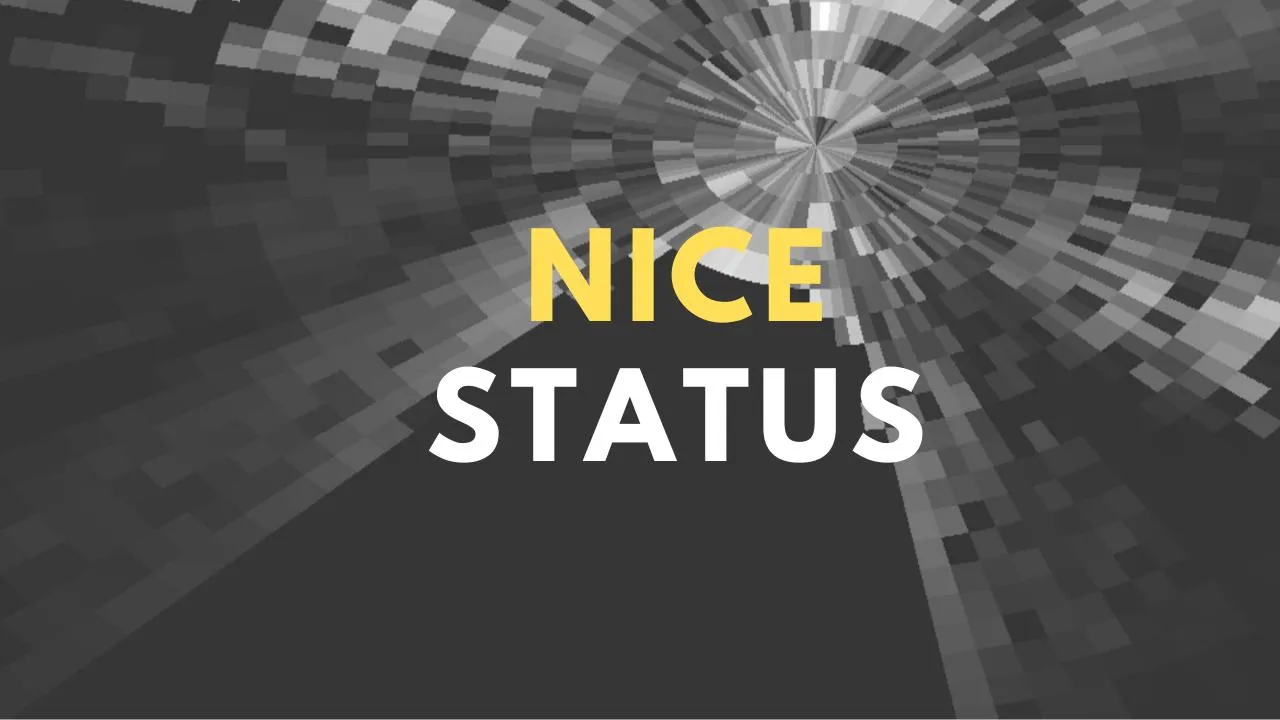 Nice Status