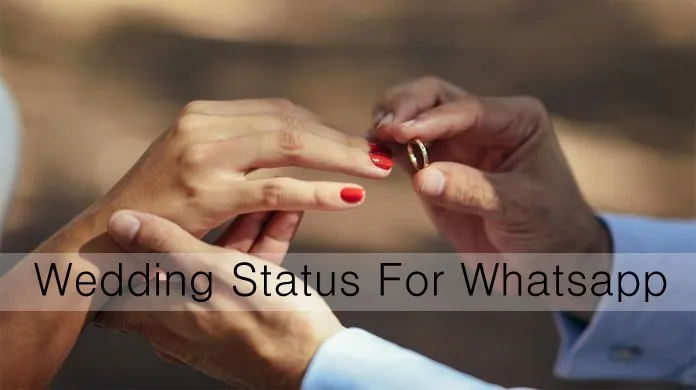 110 Best Wedding Status For The Special Day Wedding Status