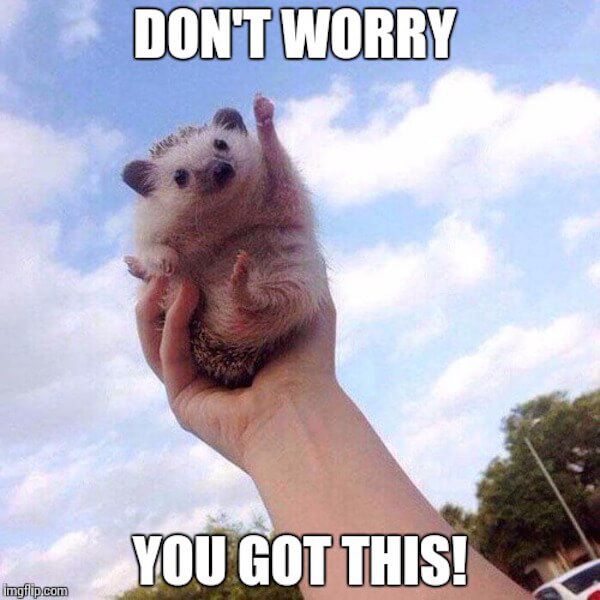 You Got This , Don’t worry!