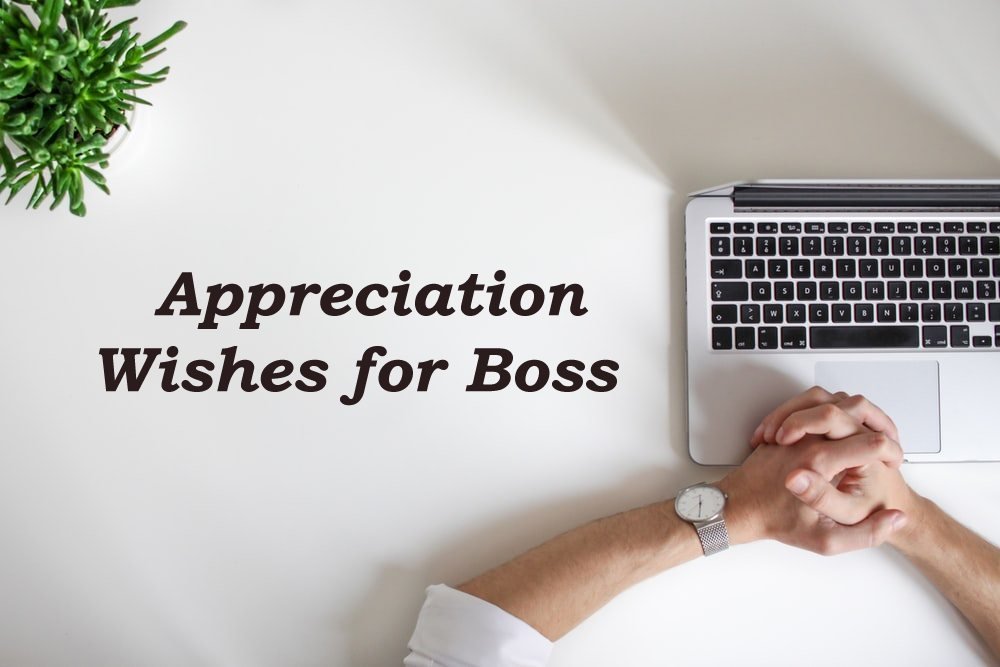 Top 10 Best Boss Appreciation Quotes And Thank You Me - vrogue.co