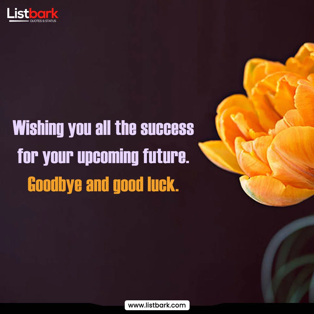 best quotes for goodbye