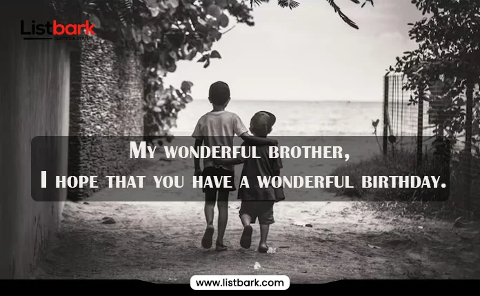 birthday whatsapp status for brother