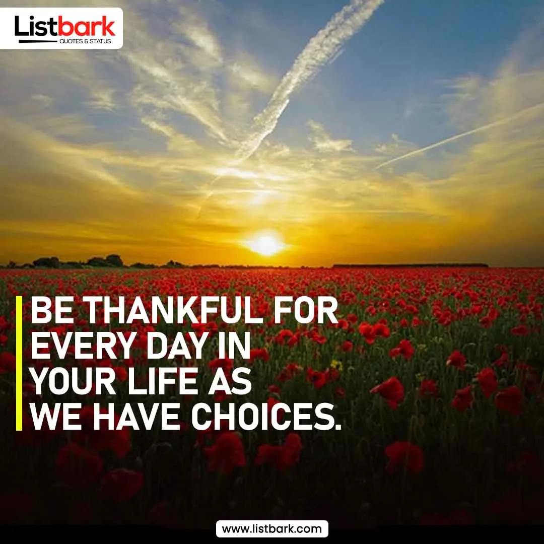thankful quotes